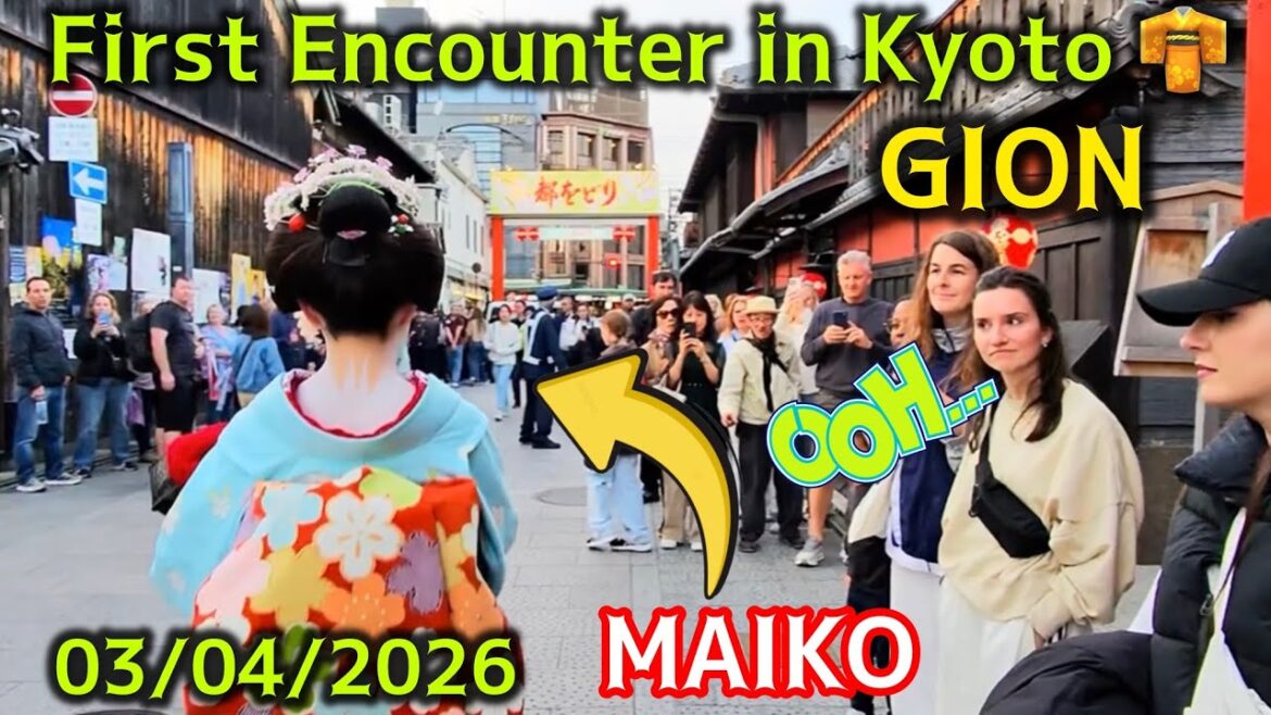 京都で初めての出会い👘🌸｜舞妓＆芸妓に観光客が驚く！😲