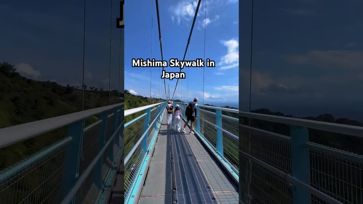 Explore Mishima Skywalk #shortvideo #short #japan #traveldestinations
