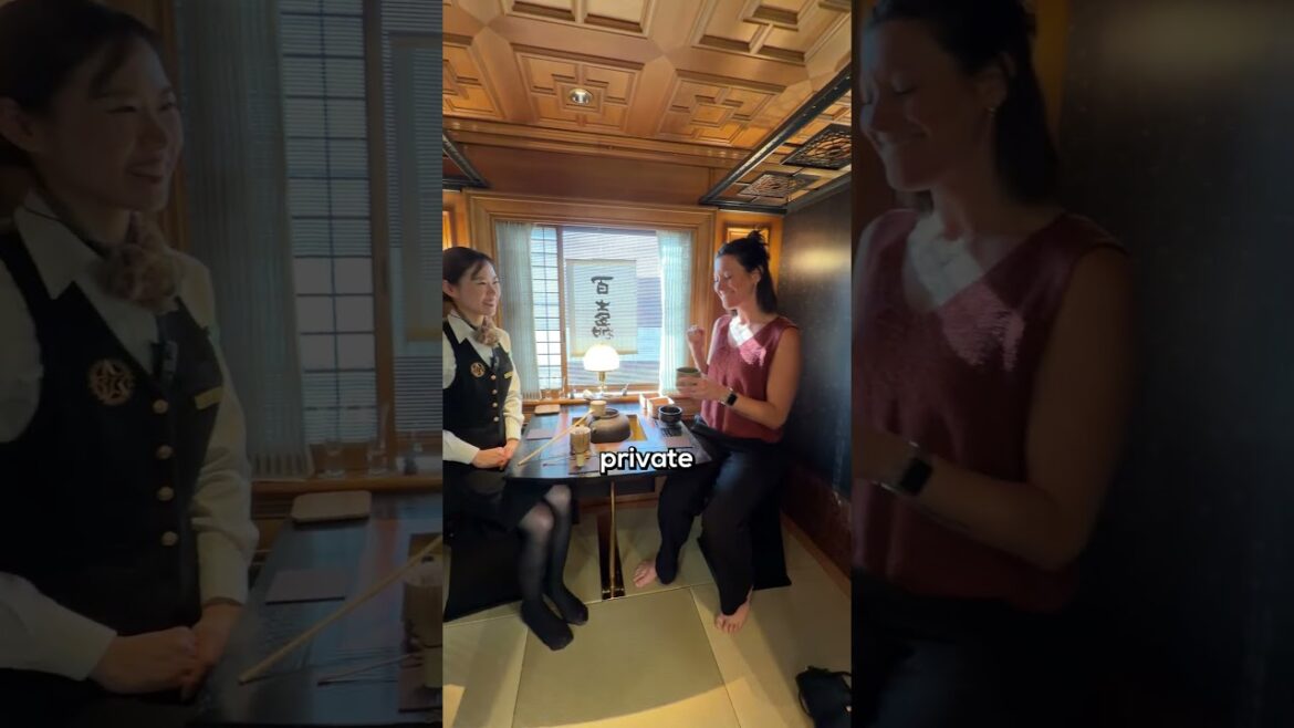 Japan's best train🤩