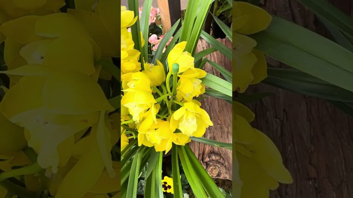 Why Kobe, Japan Should Be on Your Asia Travel Bucket List