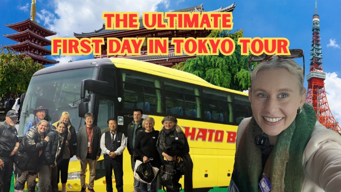 Half day Tokyo bus tour | Tokyo train station peak hour back to hotel
