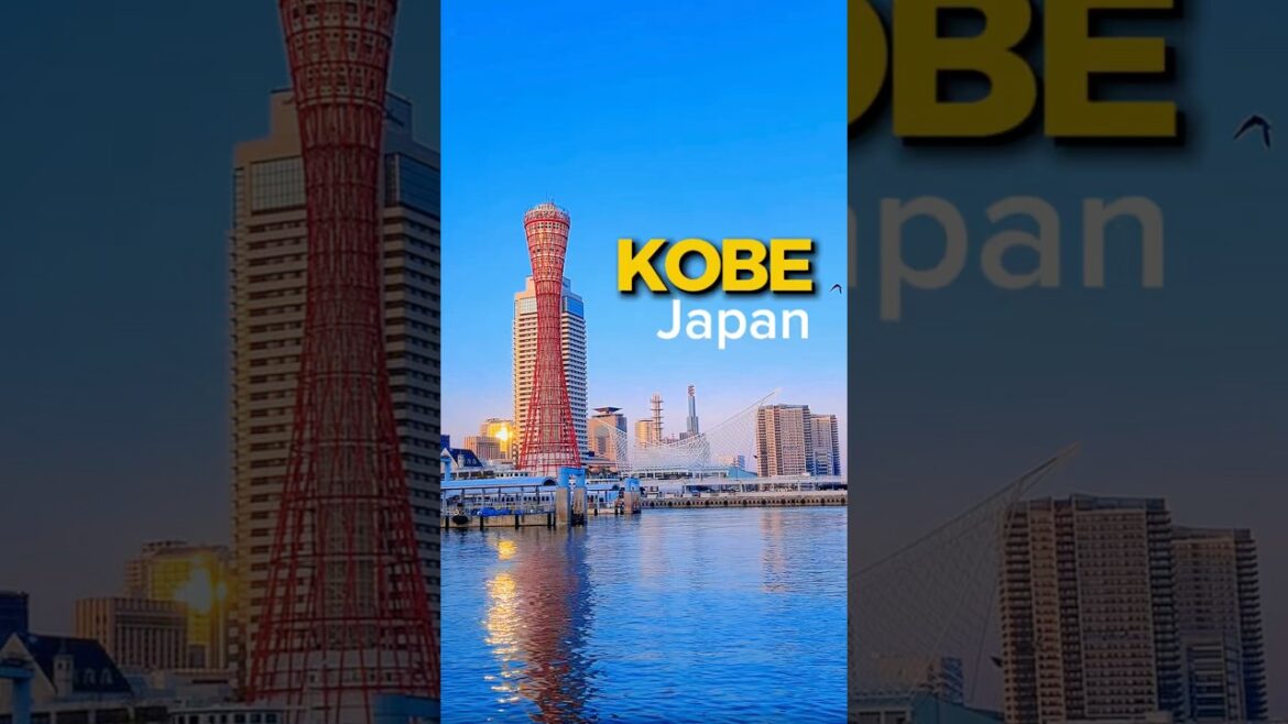One Day in Kobe: From Chinatown to the Harbor ⛩️🗼