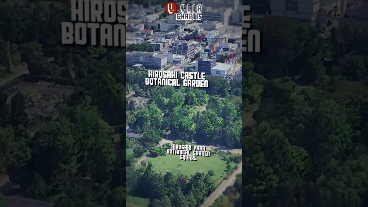 Hirosaki Castle: Japan’s Cherry Blossom Fortress