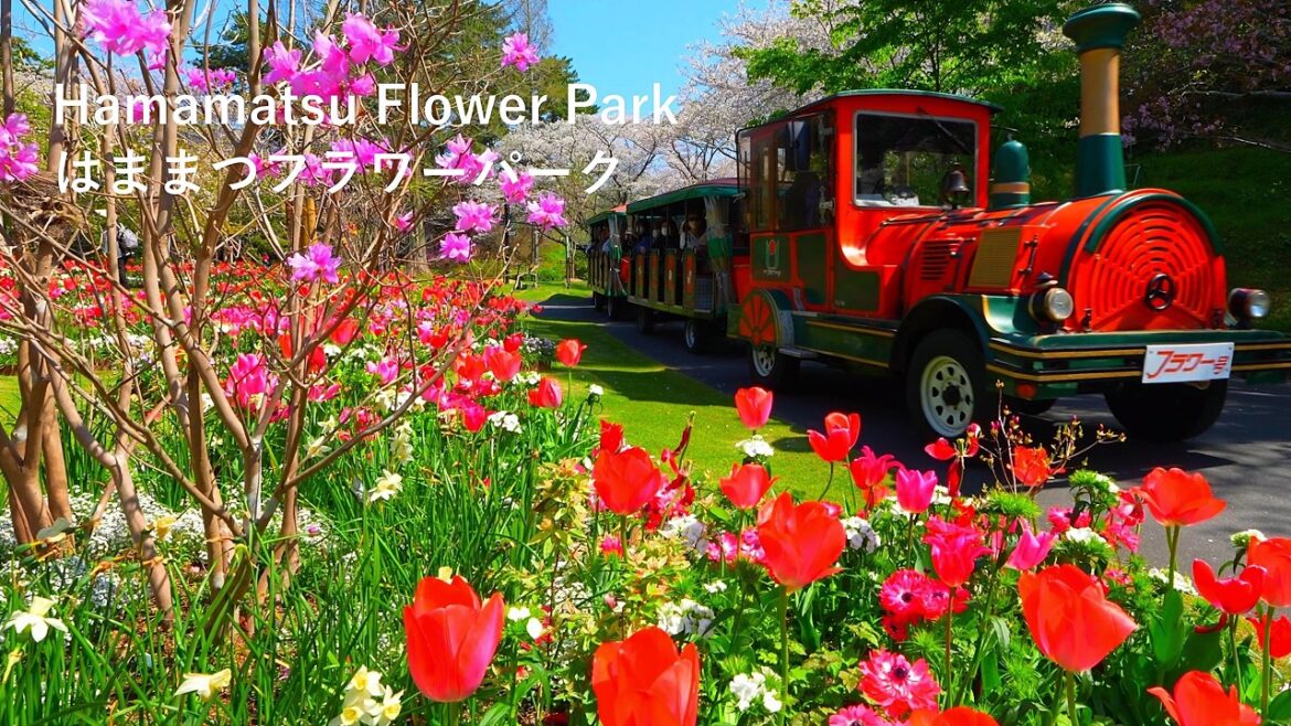 The World's Most Beautiful Cherry Blossom and Tulip Garden at Hamamatsu Flower Park!