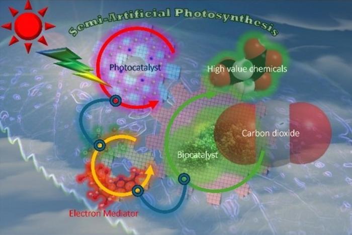 Schematic Diagram of Semiartificial Photosynthesis