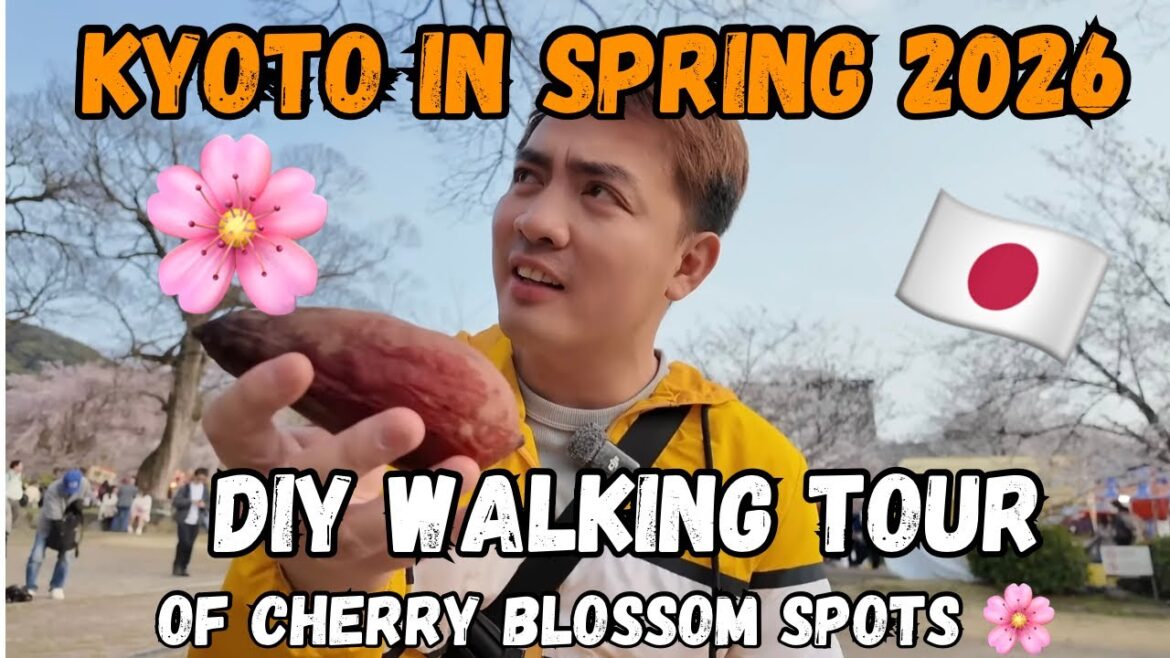 KYOTO IN SPRING 2026 🌸 DIY Walking Tour of Cherry Blossom Spots