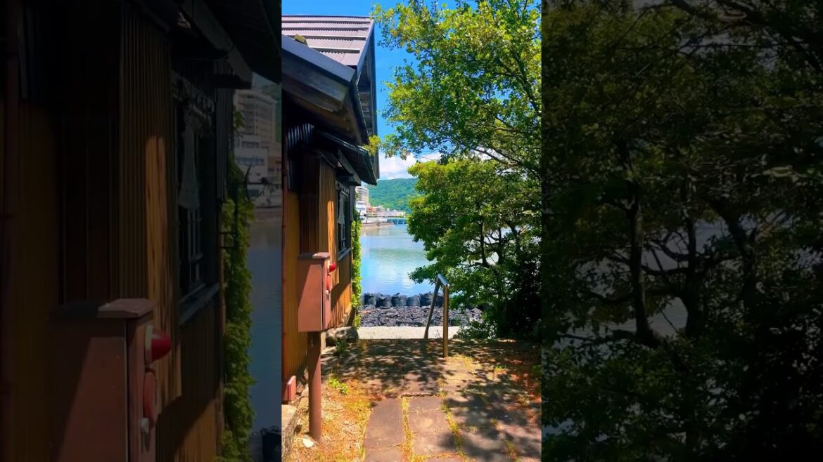 Wakayama City / 和歌山市 #travel #旅行 #visitjapan #観光 #japan #wakayama #和歌山 #和歌山市 #anime #アニメ