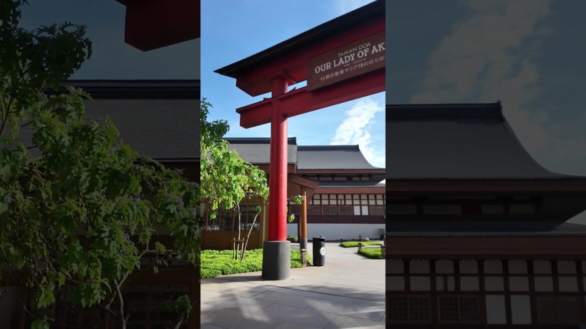 No need to fly to Japan for this view! #OurLadyOfAkitaPIK2