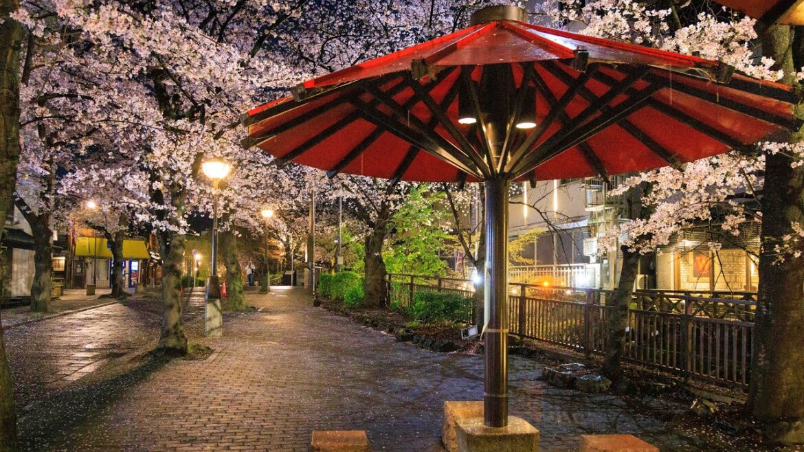Spring Walk through Higashiyama in Soft Dawn Rain | Kyoto, Japan