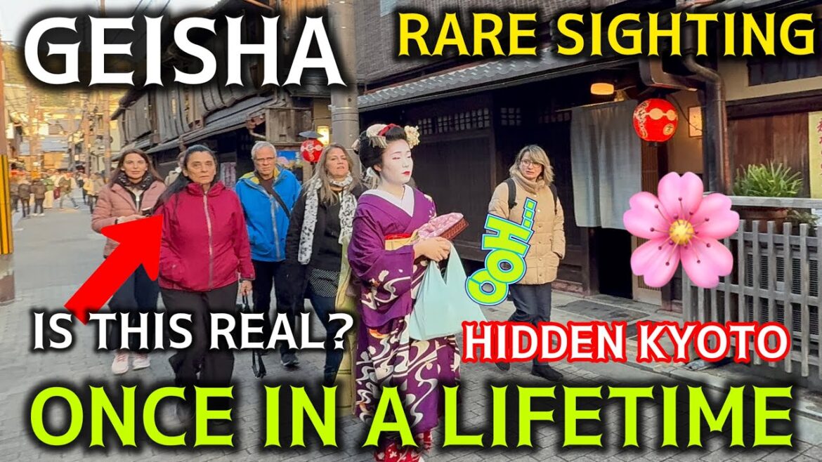観光客にとって幸運な日👘✨｜舞妓＆芸妓が突然現れる！😍🇯🇵 maiko geisha