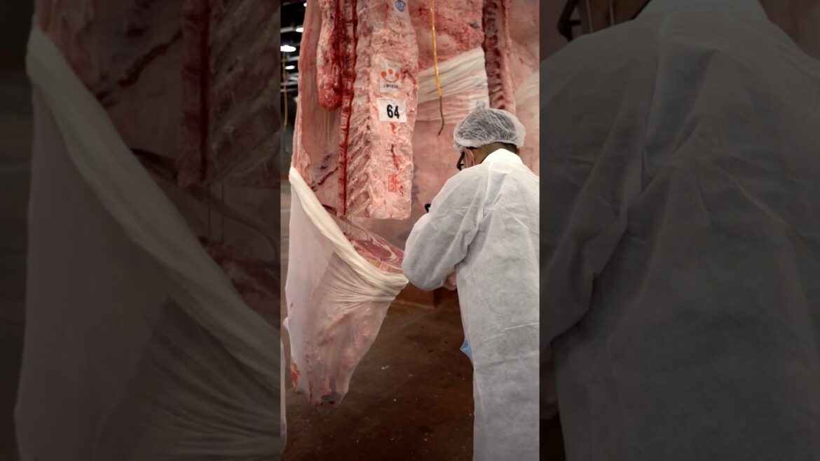 Japan’s #1 Burger 🍔 Ranked #17 in the World