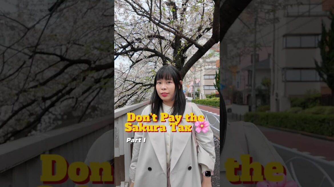 Sakura Japan Ultimate Guide Part I 🌸