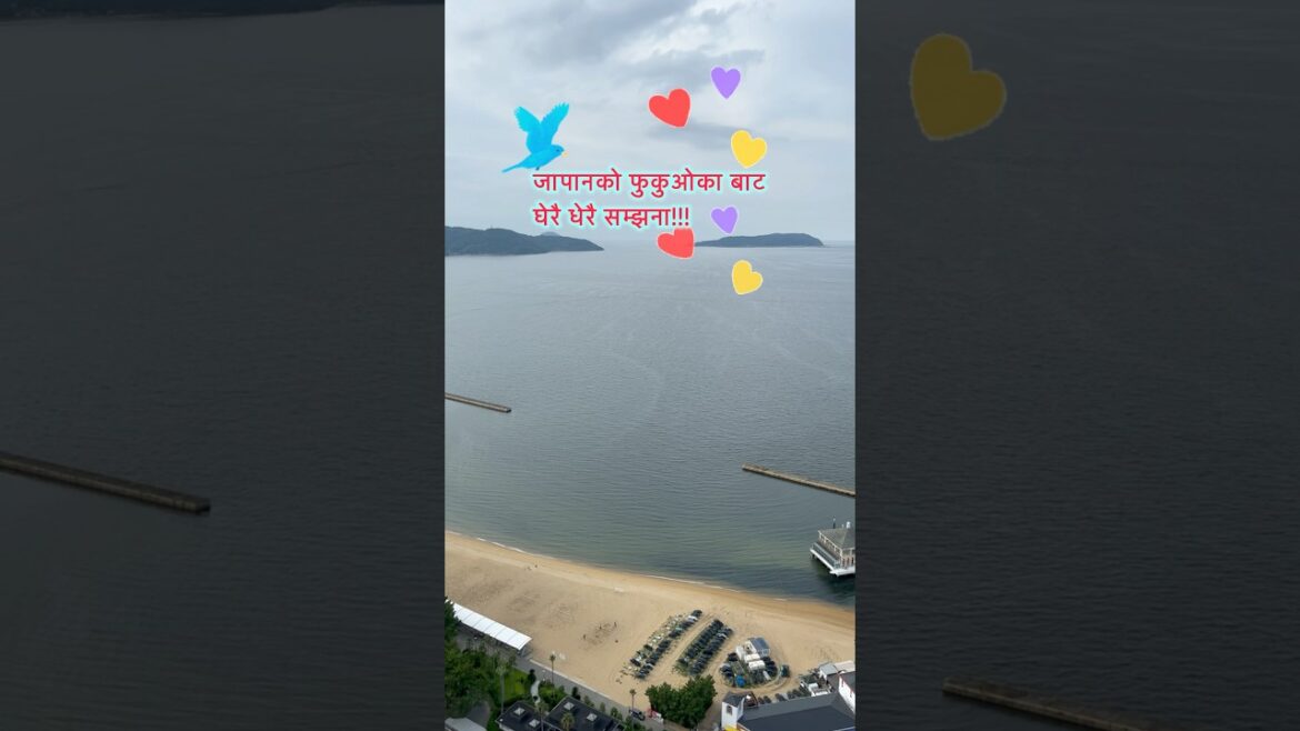 FukuokaJapan #Fukuoka #udiudi #sushantkc #songsnepal  #fukuokatower #japan #trending #shorts #travel