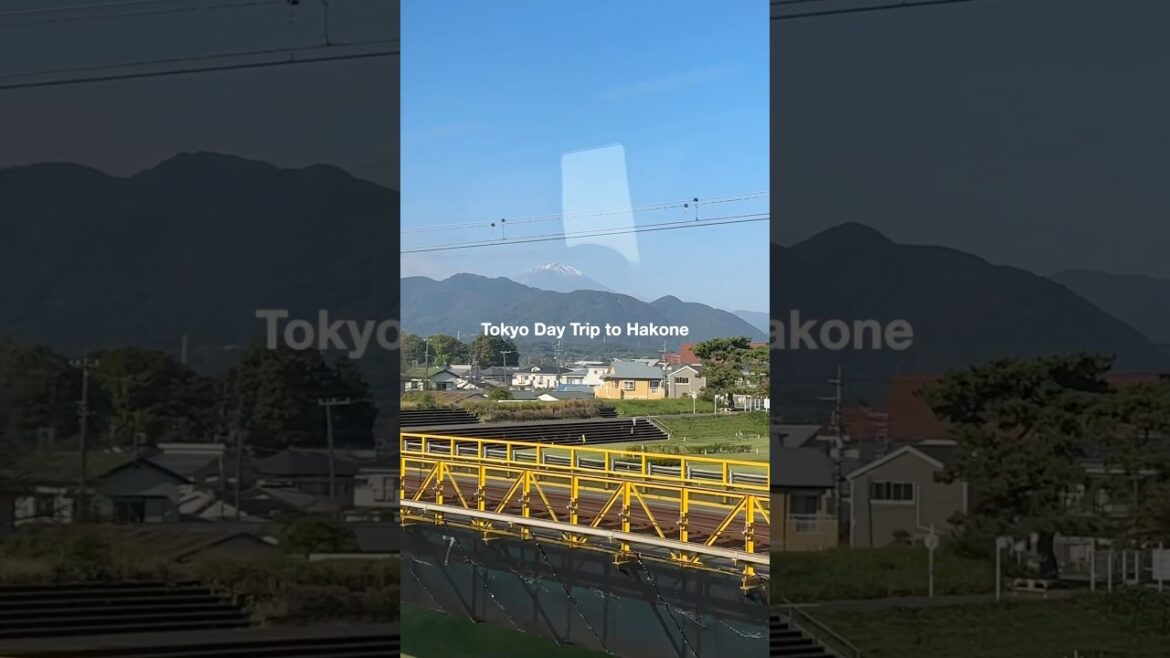 I took a day trip from Tokyo to Hakone. Here’s how it went. (full video available) 🩵 #japantravel