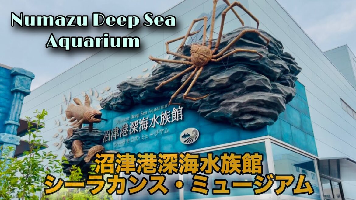 沼津港深海水族館シーラカンス・ミュージアム || Numazu Deep Sea Aquarium || Deep Sea Aquarium 🐙🦀🐠