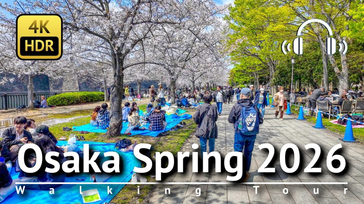 🌸 Osaka Spring 2026 Walking Tour [4K/HDR/Binaural]