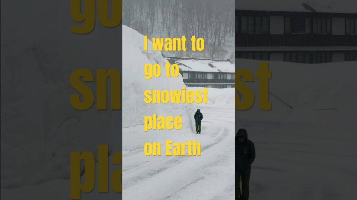 Snowiest place on Earth☃️ #sukayu #aomori  #japan