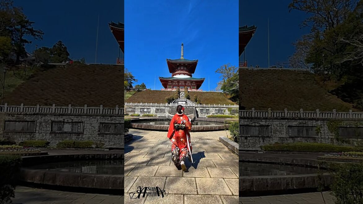 Narita San Temple. Narita. Chiba. Japan 🇯🇵 #shorts #travel #japan #kimono #narita #chiba #crewlife