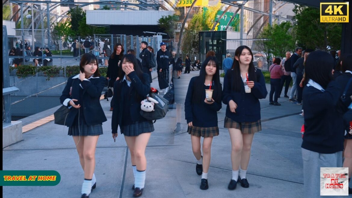 【4K HDR】Shibuya Tokyo Sunset Walk 🇯🇵 | Busy Streets & Golden Hour City Vibes 【4K HDR】Shibuya Tokyo Sunset Walk 🇯🇵 | Busy Streets & Golden Hour City Vibes