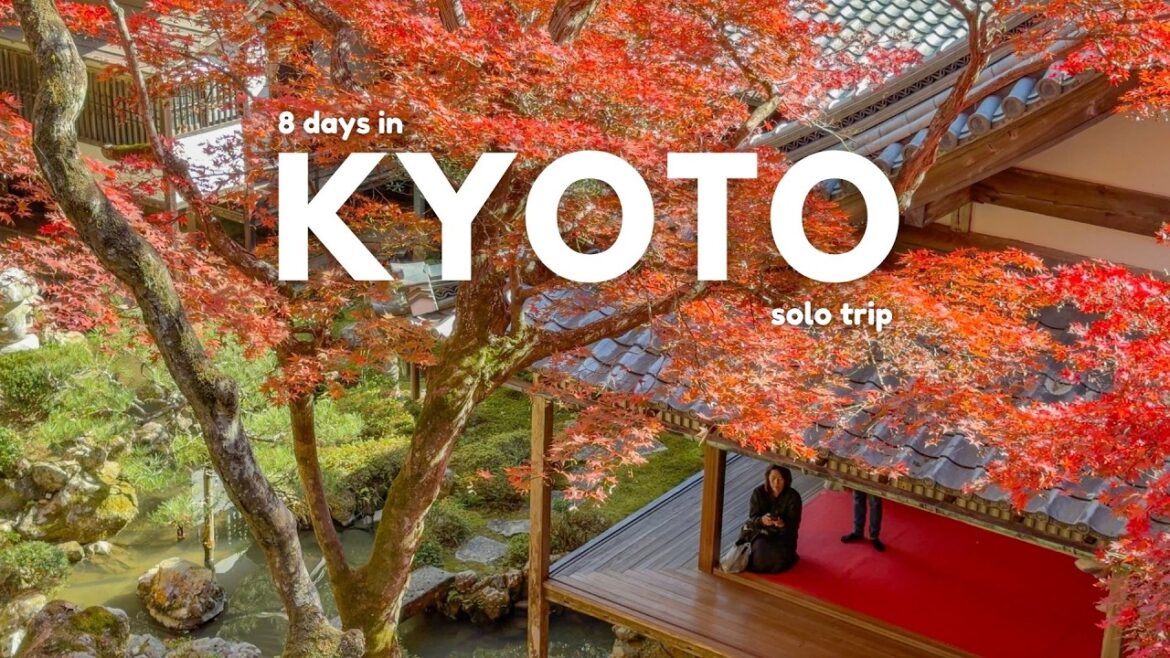 8 day introvert solo trip exploring Kyoto Autumn 🍁 - part 2 | JAPAN VLOG