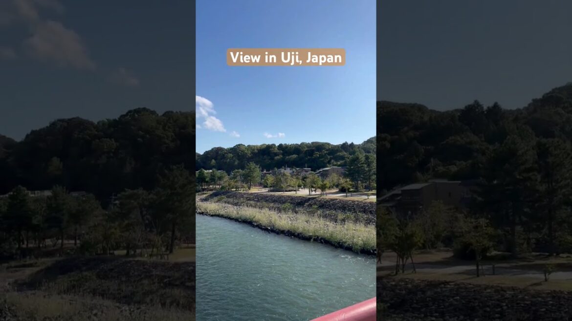 Where Kyoto's Best Matcha Actually Comes From #japan #kyoto