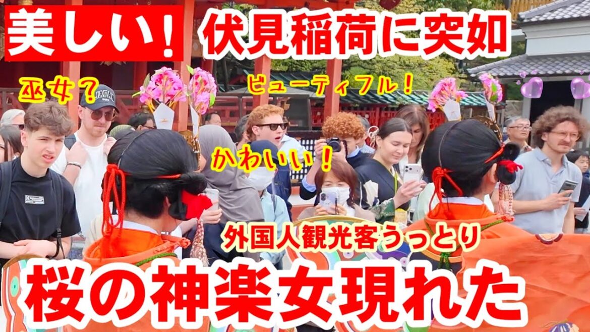 4/5(日)美しい！伏見稲荷に突如現れた桜の神楽女さん「桜花舞」に外国人観光客うっとり