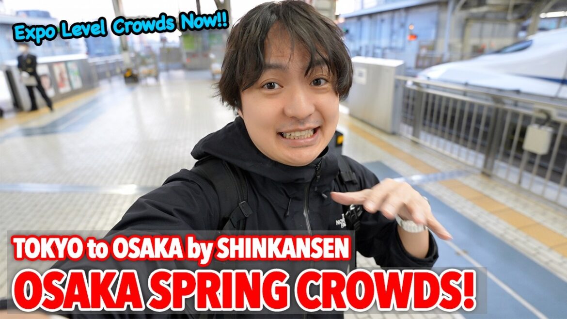 Chaotic Spring Crowds in Dotonbori! Tokyo to Osaka by Shinkansen. Black Ramen & Local Snack Ep.631