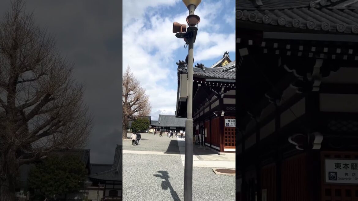 【KYOTO】Must-See Tourist Attraction - Nishi Honganji Temple