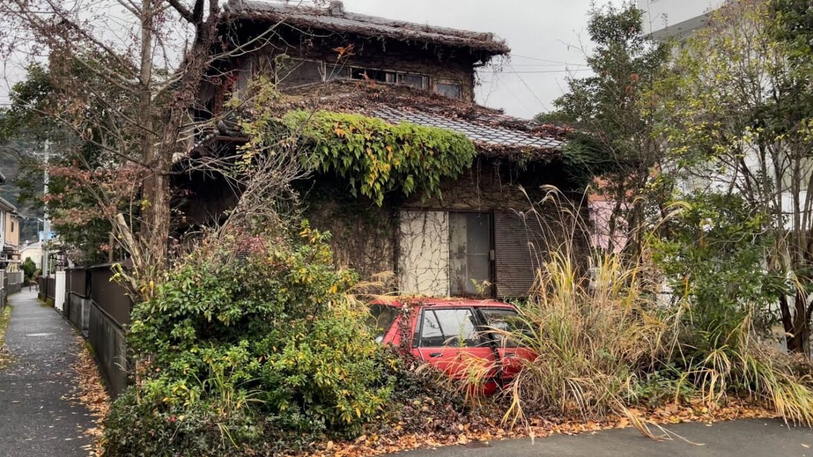 Shizuoka Mochimune walk, Japan [4K HDR]