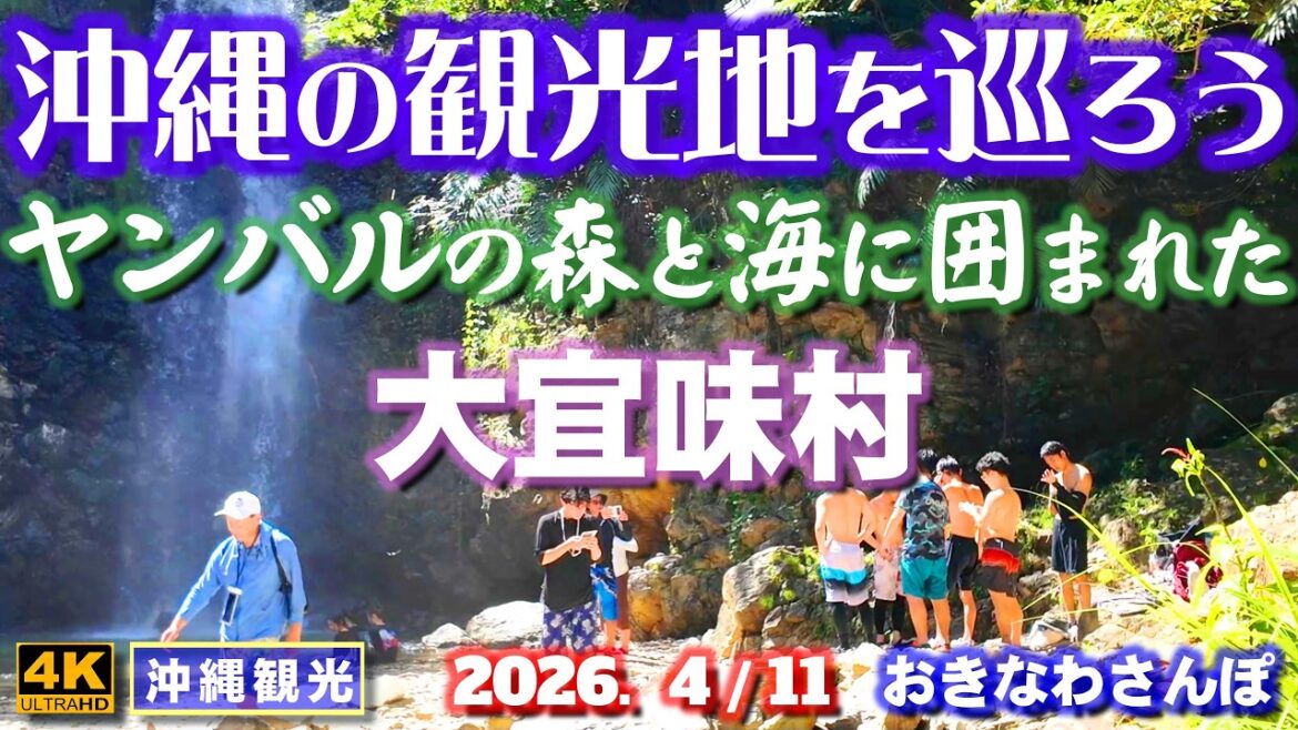◤沖縄旅行◢ 大宜味村のオススメ観光地7選♯1176 おきなわさんぽ 7 Recommended Tourist Spots in Ogimi Village.