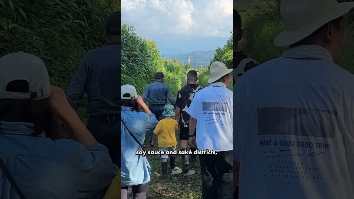 Up Close & Personal with Nagaoka’s Food Fermentation Culture