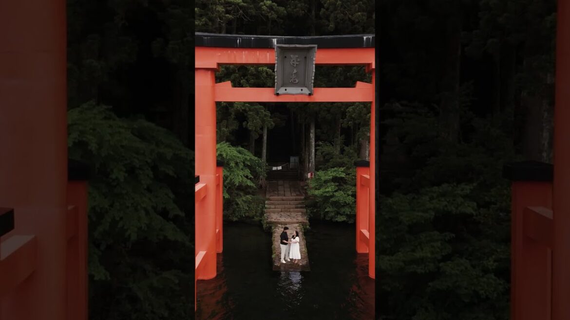 Romantic Proposal at Hakone’s Red Torii Gate | Japan Proposal Ideas #shorts