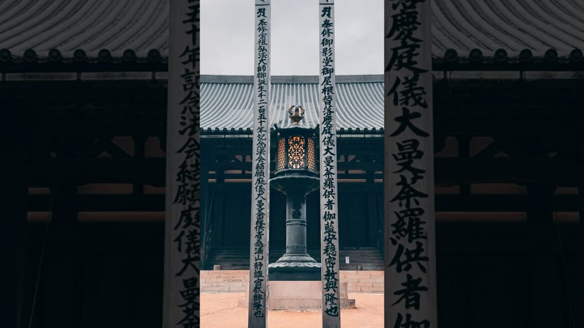 Kondo temple 📍Koya Japan              #shrine #japan