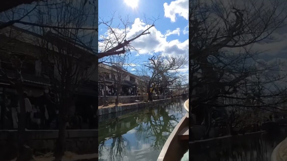 Kurashiki River Boat Ride #japan #travel #okayama #岡山 #kurashiki