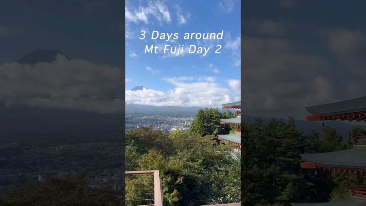 Fuji Five Lakes Travel Vlog | Chureito Pagoda, Lake Kawaguchi, Oishi Park & Oshino Hakkai Day Trip