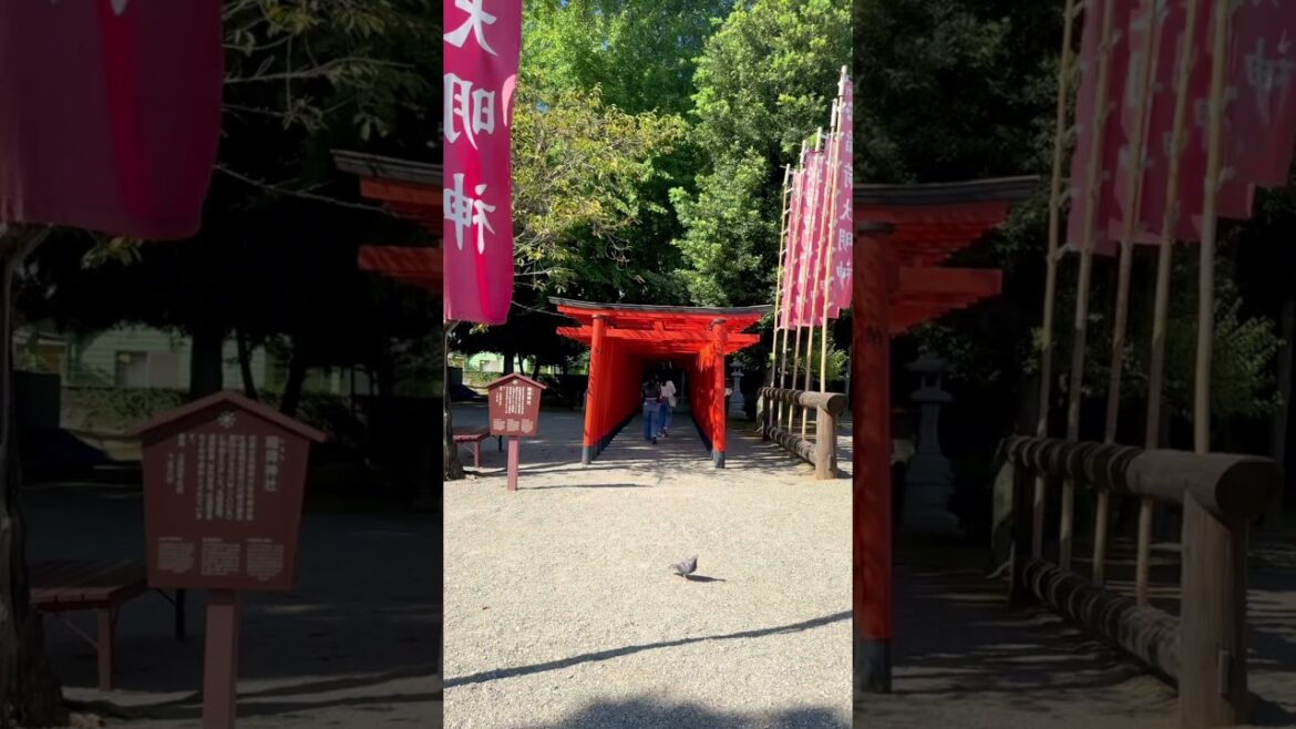 Beautiful Japanese Garden 🌸 Suizenji Jojuen #visitjapan #explorejapan