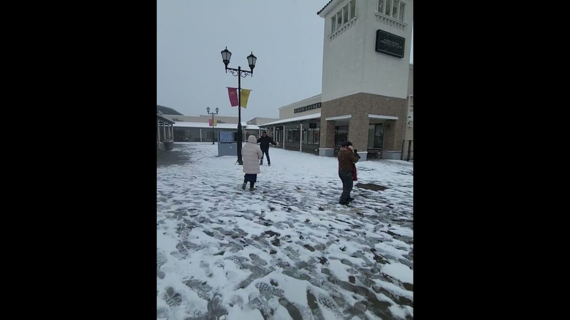 Sanda Premium Outlet Kobe #tourguiding #tourguideservice #japantourism #japantravel #alttravels