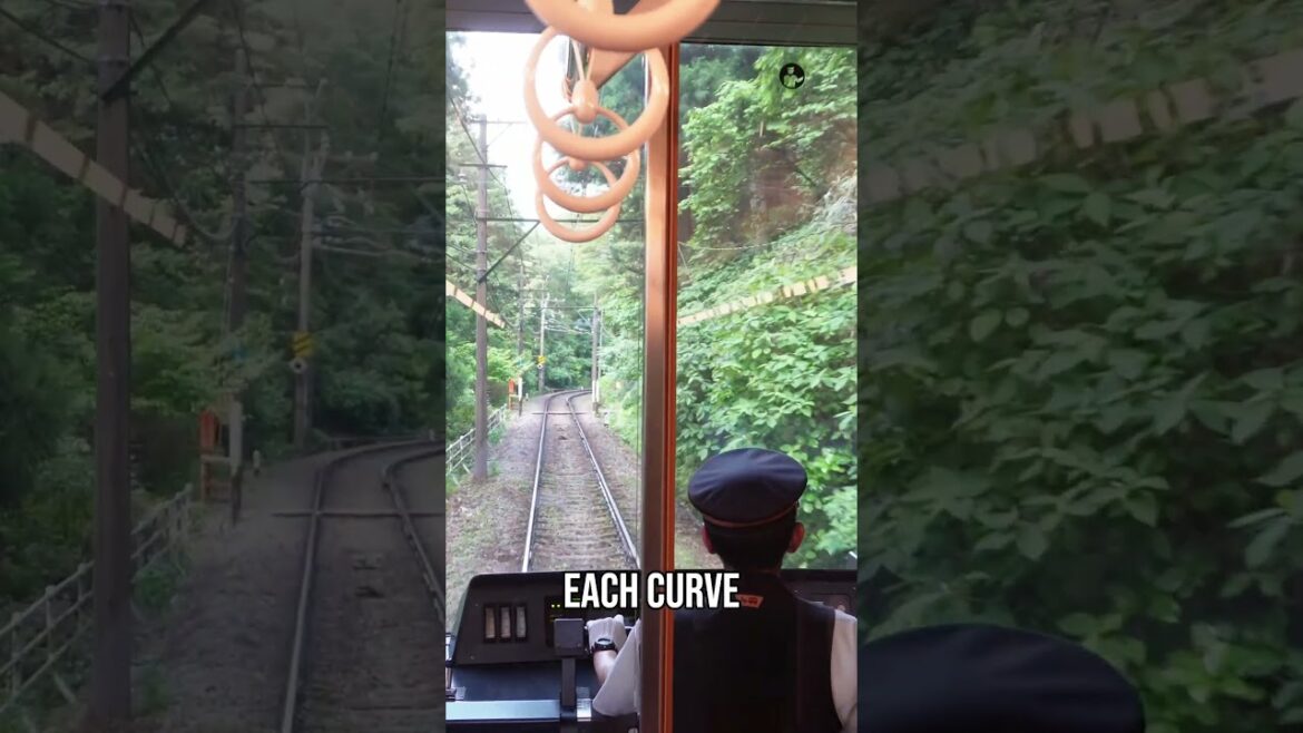 Hydrangea Train  The Most Peaceful Ride You'll Ever Take!