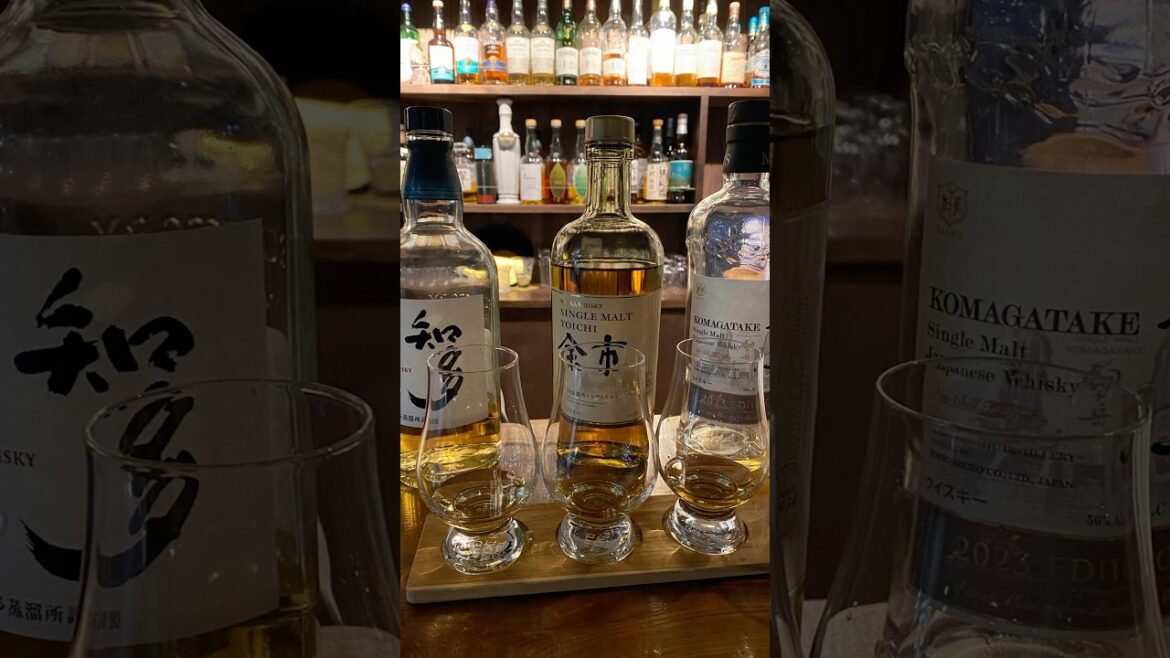 I accidentally went to THIS type of place in Japan π #tokyo I accidentally went to THIS type of place in Japan π #tokyo