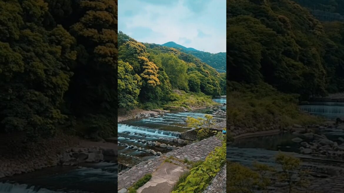 #hakone #japan – Torii of Peace, misty ropeways & volcanic views—rainy but cozy 🌿🗻✨ #travel #vlog #hakone #japan - Torii of Peace, misty ropeways & volcanic views—rainy but cozy 🌿🗻✨ #travel #vlog