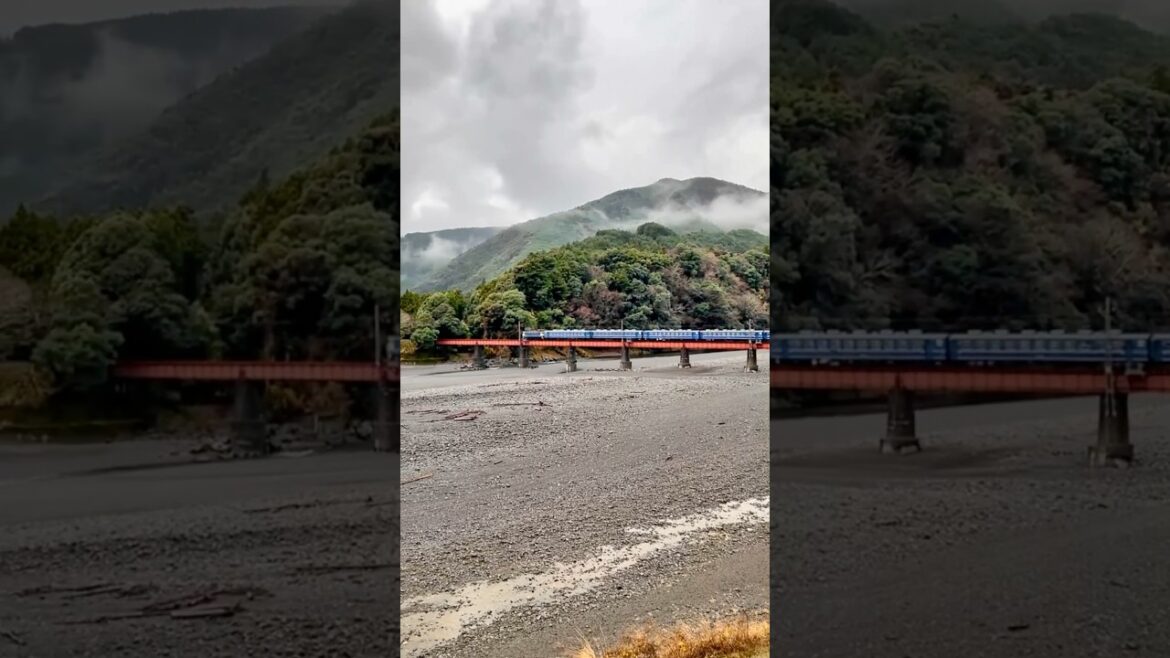 Oigawa Railway Thomas Event 🚂 | Shizuoka Japan Travel Vlog