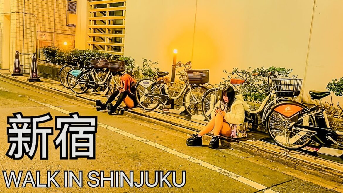 大久保公園歌舞伎町 Okubo Park Dark Night