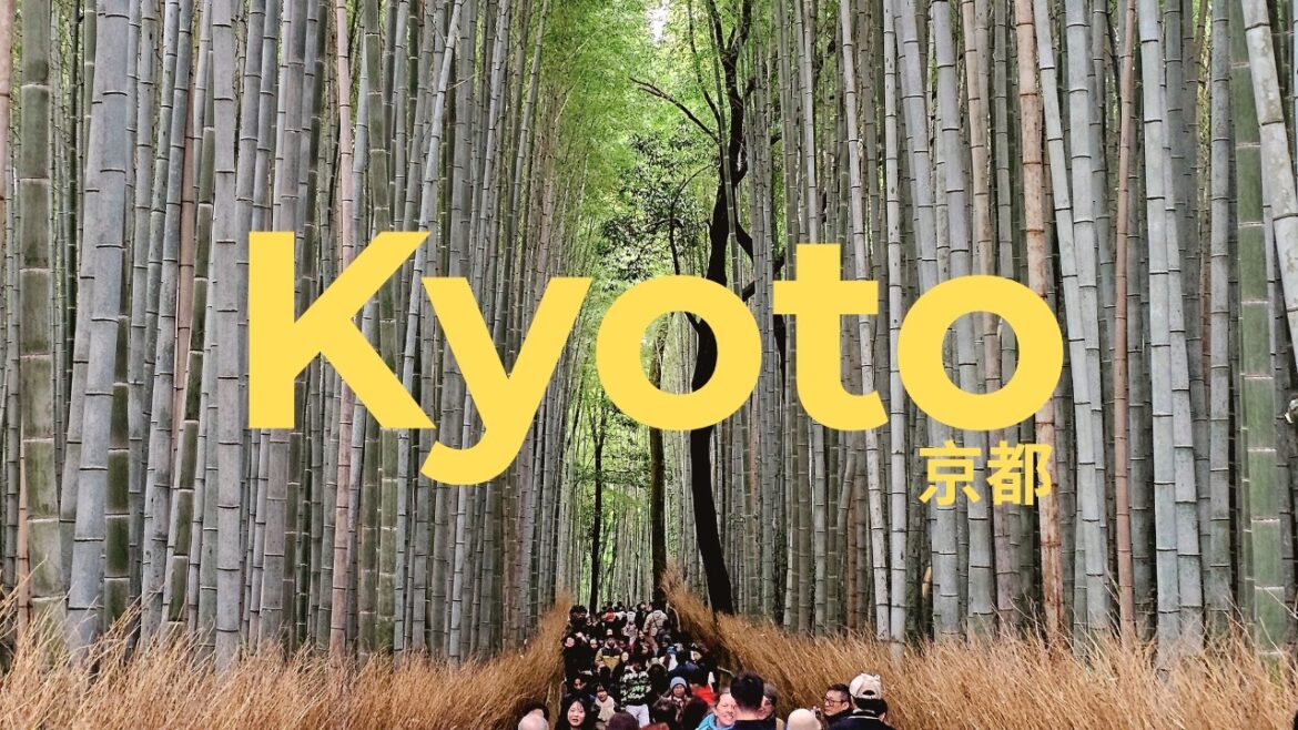 Arashiyama Bamboo Forest and Monkey Park in Kyoto, Japan!