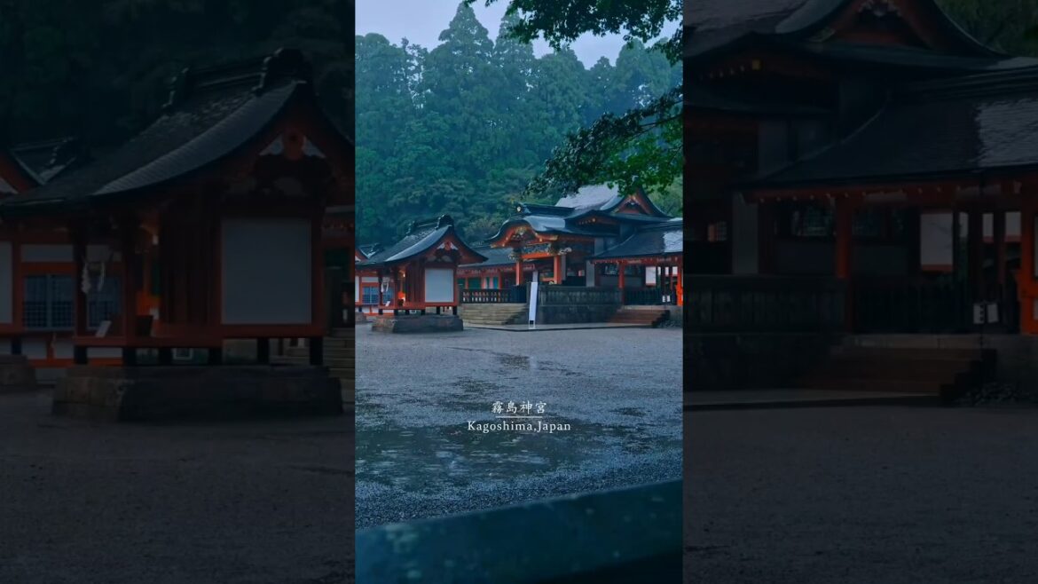 Beautiful place in Kagoshima shrine nature japan Kagoshima prefecture, #japan#kagoshima #japantemple