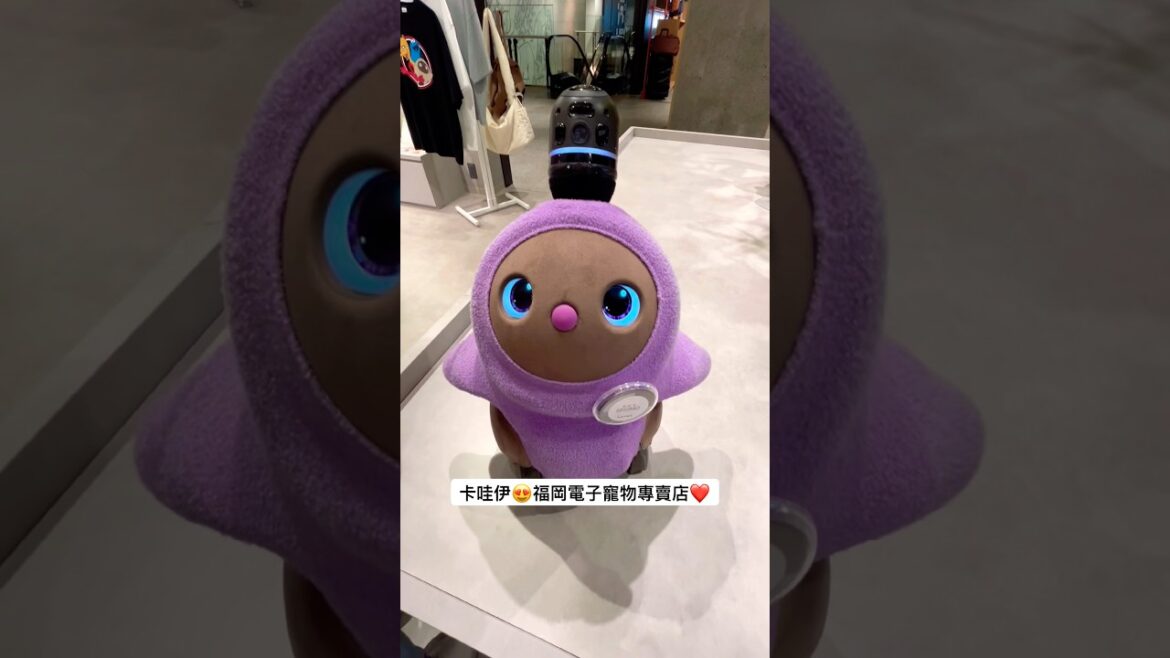 卡哇伊😍福岡電子寵物專賣店❤️ #美景 #旅行 #福岡 #日本 #電子寵物 #九州 #旅遊 #travel #trip #japan