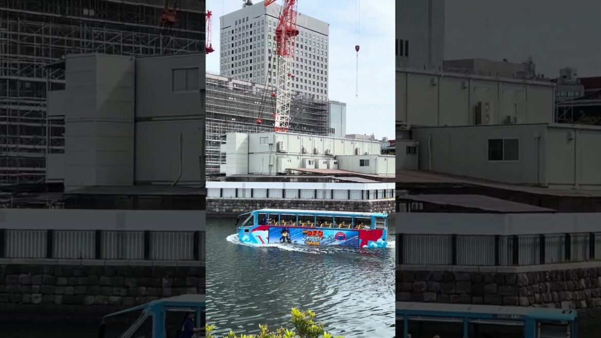 Duck Boat in Yokohama #sightseeing #outdooradventure ##japan