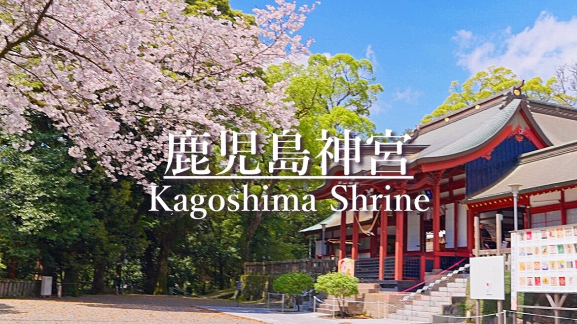 Cherry Blossoms at Kagoshima Shrine, Japan.