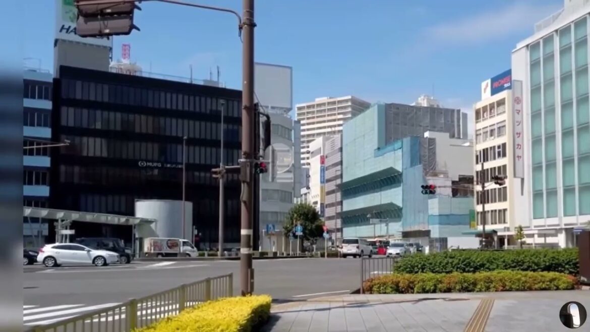 Shizuoka City Japan Tour