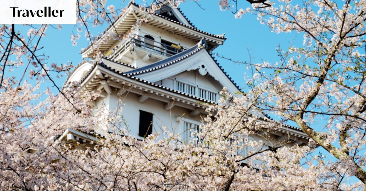 Ozu, Japan places to stay: How a small castle town is fighting population decline through accommodation