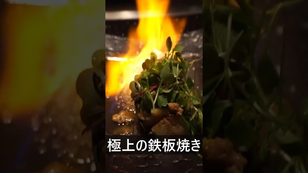【衝撃】目の前が海。炎が舞う。神戸で一番ドラマチックな「鉄板焼き」が凄すぎた…！🔥🥩#shorts